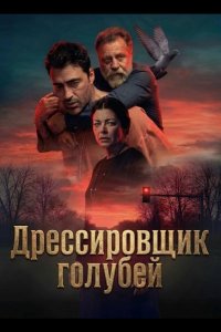 Дрессировщик голубей